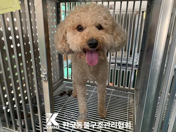 한국동물구조관리협회_411315202500248